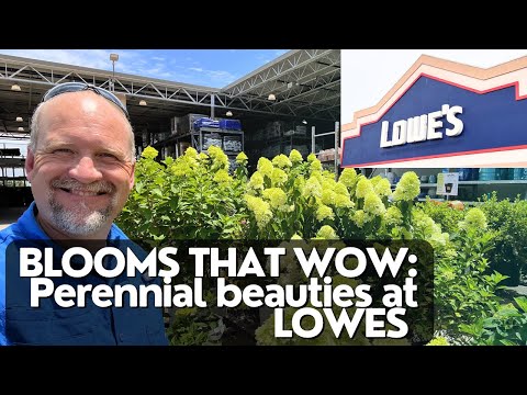 Blooms that Wow! Explore the 2023 Proven Winner’s Collection & other Perennial Beauties at Lowe’s