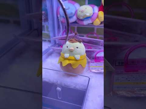 【クレーンゲーム】すみっこのペンギンを狙ってみた結果#shorts