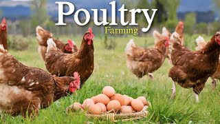 Poultry Farming |⚡3d animation | Class 9, Agriculture |