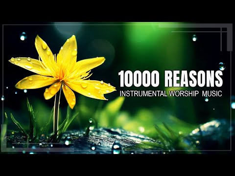 10000 Reasons - Morning Instrumental Worship And Praise Music Playlist 2025 - Music Heals Your Heart