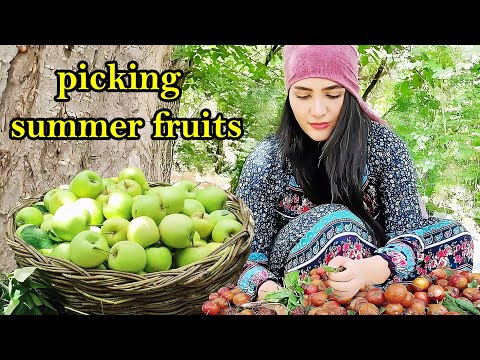 Village Life Iran | Delicious Cooking & Healthy Snacks For Winter