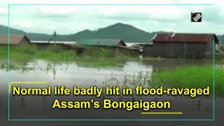 Normal life badly hit in flood-ravaged Assam’s Bongaigaon