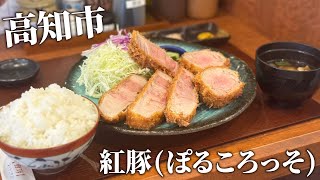 【高知グルメ】紅豚(ぽるころっそ)の特上ロース&上ひれしゃ豚ぶりあん(2800円)を食べるだけの動画