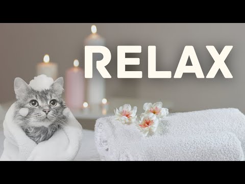 Relaxation Music to Relieve All Stress || Great for Spa, Massage, and Sleep