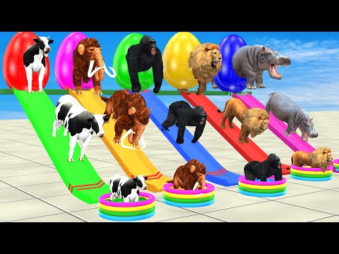 Elephant, Cow, Lion, Gorilla DON'T CHOOSE The WRONG WATERSLIDE With Pool Challenge Animals Game