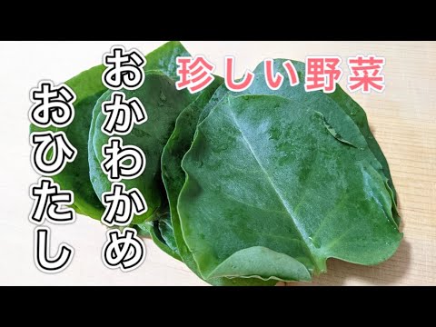 【珍しい野菜】おかわかめ『お浸し』の作り方！