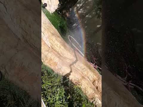 #smalliesrainbow #rainbowInthegarden