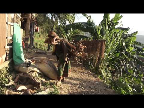 Nepali village || Carrying loads of firewood in the village