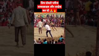 दो शेर की लड़ाई #kushtidangal #shortsvideo #shorts #short #youtubeshorts #viral #trending