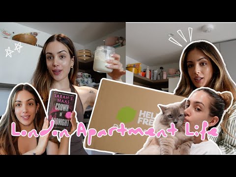 WHY I DON'T LIVE IN LONDON ANYMORE! Saying goodbye to my Ragdoll cat! Book Haul!