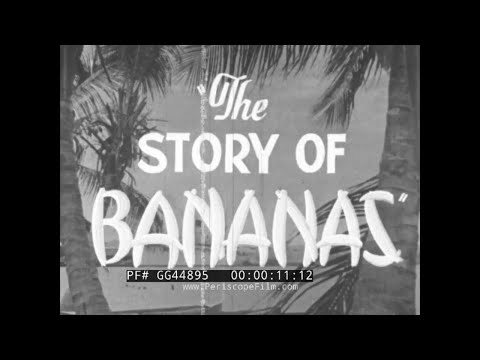 " THE STORY OF BANANAS " 1947 CENTRAL AMERICAN FRUIT CULTIVATION DOCUMENTARY GG44895