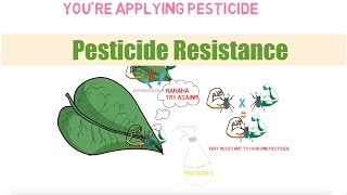 Pesticide Resistance | Ask The Aquaponics God Ep17