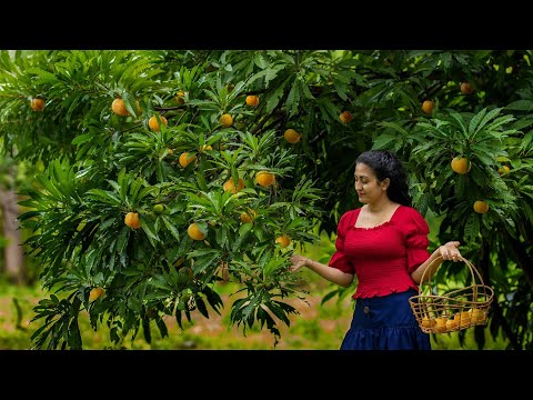 Golden Egg fruits!Nature gifted free vitamin package with healthy dishes|Poorna - The nature girl|