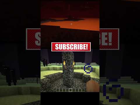 Pick a Side The Nether vs The End in Minecraft #Shorts