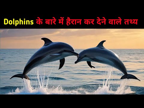 डॉल्फिन्स के बारे में हैरान कर देने वाले तथ्य | Surprising Facts About Dolphins