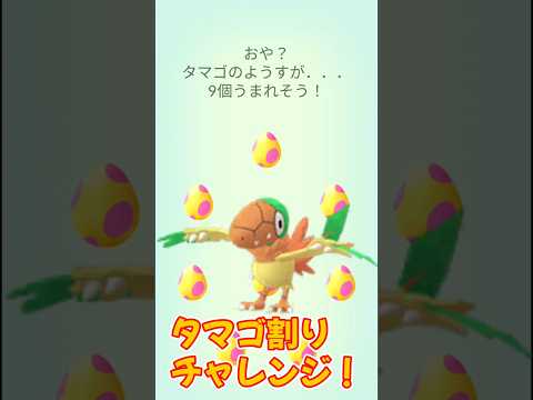 【ポケモンGO】色違いのアーケンを狙え！タマゴ割りチャレンジ！ #ポケモンgo #ポケモン #ポケgo #pokemon #pokémongo #shorts