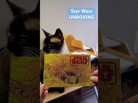 Star Wars Winter Unboxing ❄️  #starwars