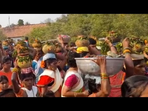 pochamma Bonalu rajarampalle || video village video || 2022 ||