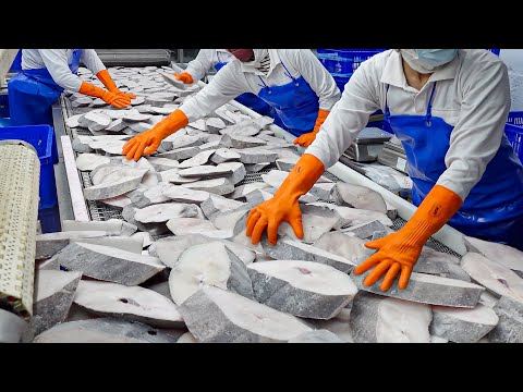 25 Tons a Day! Halibut Fish Steak Processing Plant / 大比目魚加工, 蒜香比目魚 - Food Factory