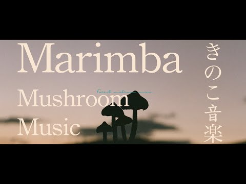 【きのこミュージックで癒されませんか??】マリンバと森の作業用BGM | 森林浴BGM | 木琴の音色で癒されゾーン突入