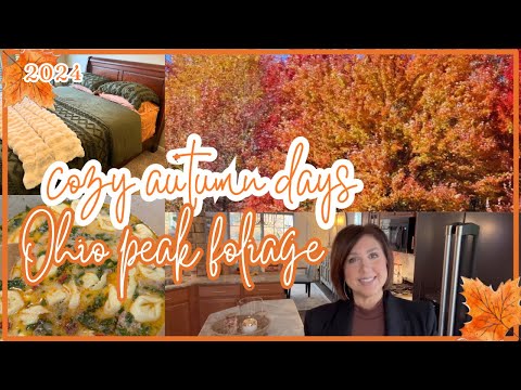 🍁Cozy Autumn Days In The Life |  NEW Fall/Winter Bedding & Tuscan Soup🍂 2024