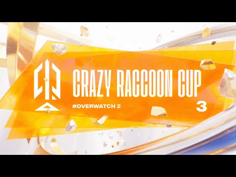 第3回Crazy Raccoon Cup Overwatch2 Day2