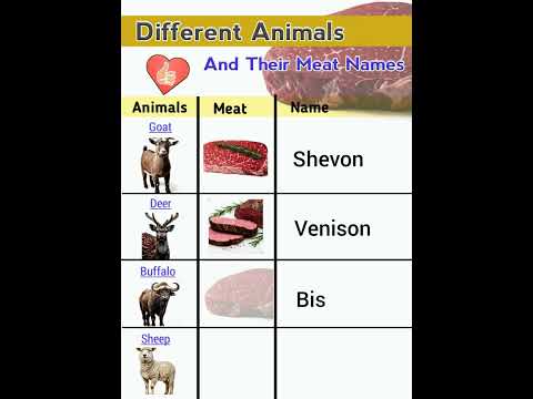 Animal Vs Meat: Know The Names