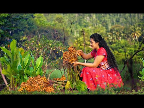 Delicious recipes from turmeric powder.Indispensable spice in the kitchen| Poorna - The nature girl