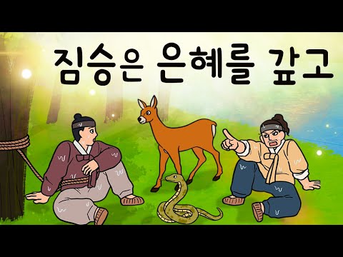 #180 짐승은 은혜를 갚고 ( 선행을 베풀자 예상밖의 결과가.. 누가 어떻게 배신을 하고 은혜를 갚았나? ) 민담, 설화, 지혜이야기, 옛날이야기, 달빛 이야기 극장, 인기동화