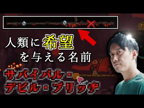 命名士松本、素晴らしい名前で人類に希望を与える【2024/1/5】【テラリア】