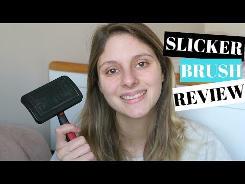 SLICKER BRUSH FOR DOGS - REVIEW