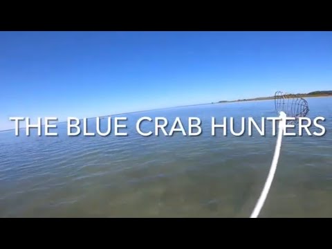 THE BLUE CRAB HUNTERS 🦀\ CAÇADORES DE CARANGUEJO 🦀