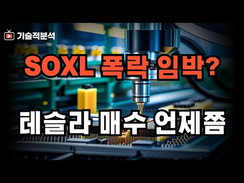 SOXL 추가 폭락 임박했나 ｜테슬라 매수 타이밍은!?