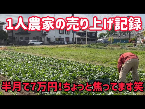 植え付け種まきを優先しなければいけないけれど野菜を出荷しないとお金は稼げないんで難しい時期ですねぇ