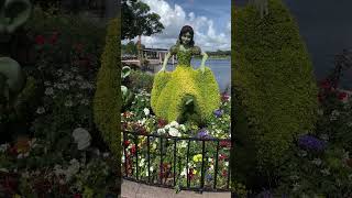 Epcot Flower and Garden Festival 2023 #epcot #flowerandgardenfestival #waltdisneyworld  #disney100