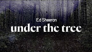 ed sheeran - under the tree (lyrics)