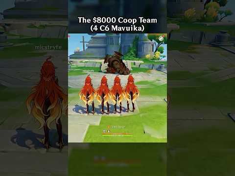 THE $8000 COOP TEAM (4 C6 MAVUIKA)