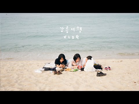 집순이의 1박 2일 강릉 여행 VLOG | 순긋해변 | 강릉 순두부 맛집 추천