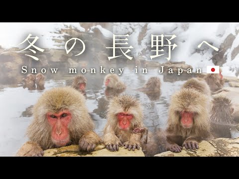 Winter Train Journey Through Nagano, Japan | 2-Day Travel Vlog