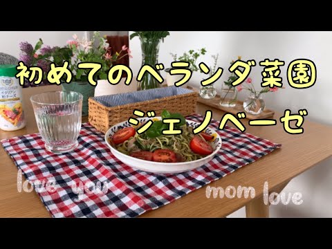 【50代】【アラフィフ主婦】初めてのベランダ菜園とジェノベーゼ