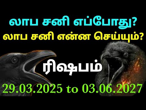 சனி பெயர்ச்சி பலன்கள் 2025 to 2027 ரிஷபம் | sani peyarchi 2025 to 2027 tamil rishabam sani peyarchi