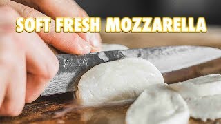 30 Minute Homemade Fresh Mozzarella Cheese