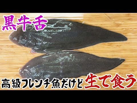 黒牛舌！高級フレンチ魚だけど生で食う