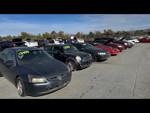 Project Cars For Sale at Picknpull Junkyard in San Jose California