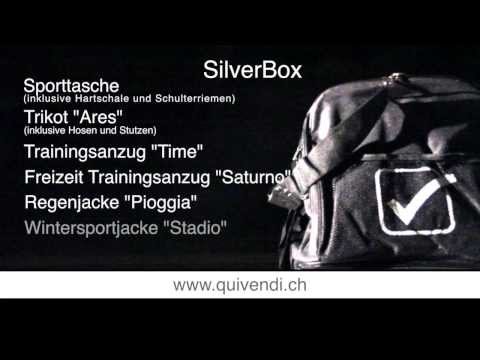 Vorlage Siver Box - QuiVendi