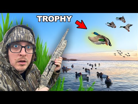 I Hunted For a Trophy Duck