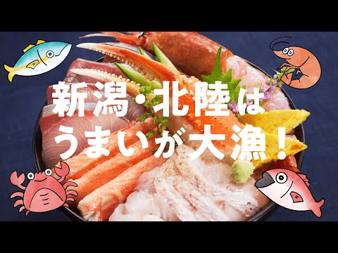 行きたい 食べたい 日本海！キャンペーン②