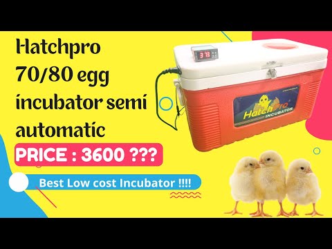 Hatchpro 70/80 Eggs low price Semi automatic egg incubator working | Automatic temperature control