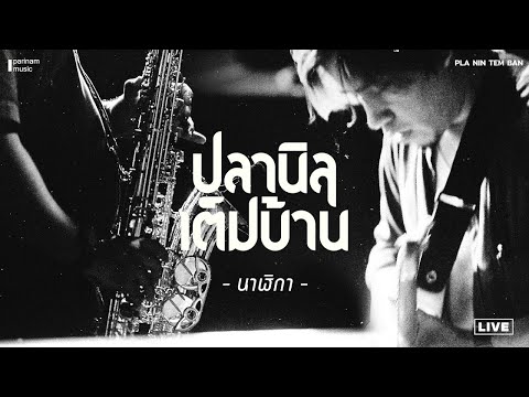 ปลานิลเต็มบ้าน - นาฬิกา [Live ปลาตี้ญาติ]