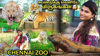 CHENNAI ZOO 2023💥| Arignar Anna Zoological park, vandalur, chennai zoo